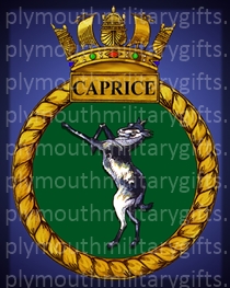 HMS Caprice Magnet